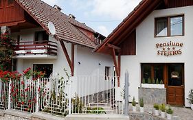 Pension Stejeris